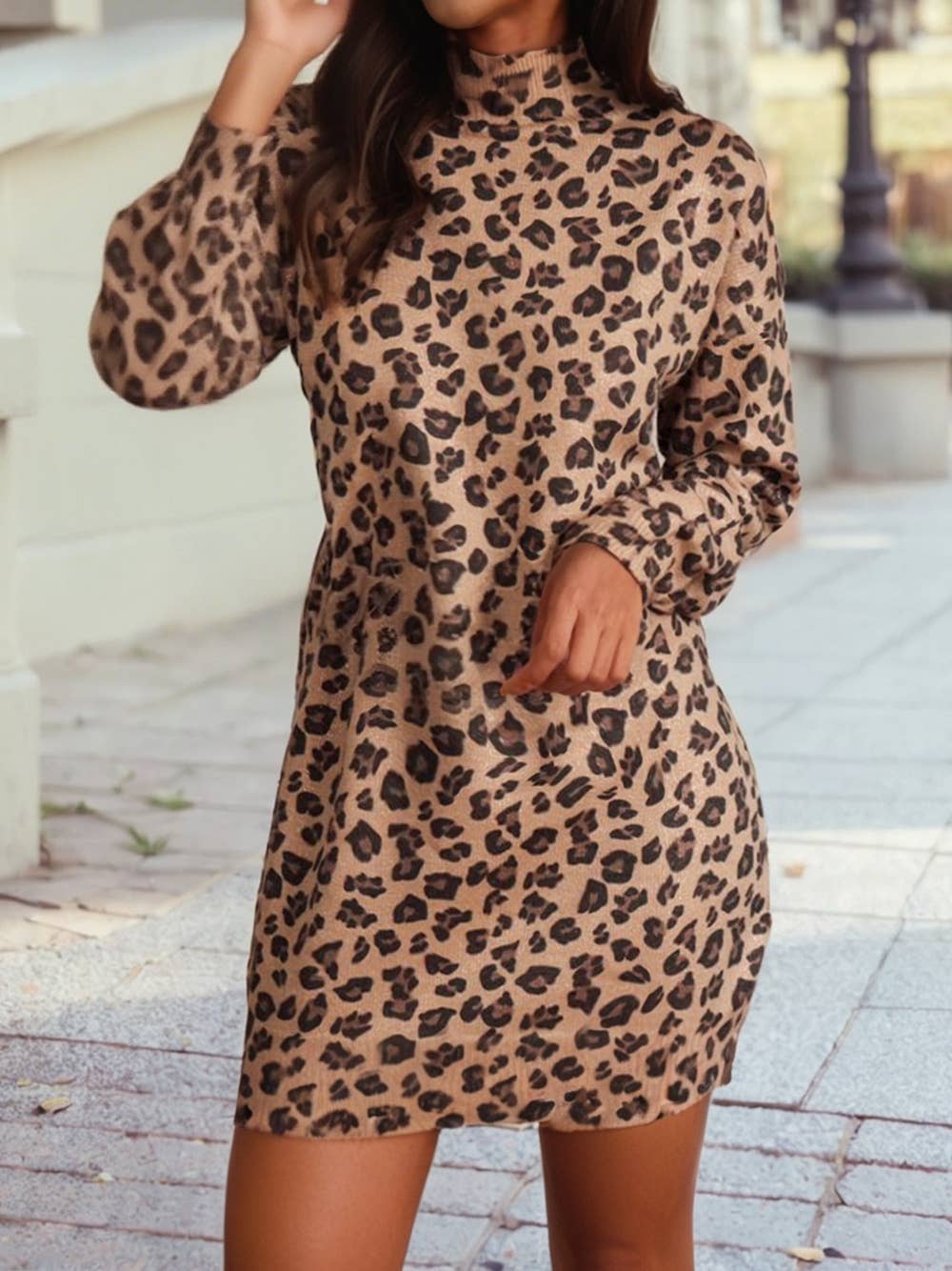 Leopard Long Sleeve Sweater Dress